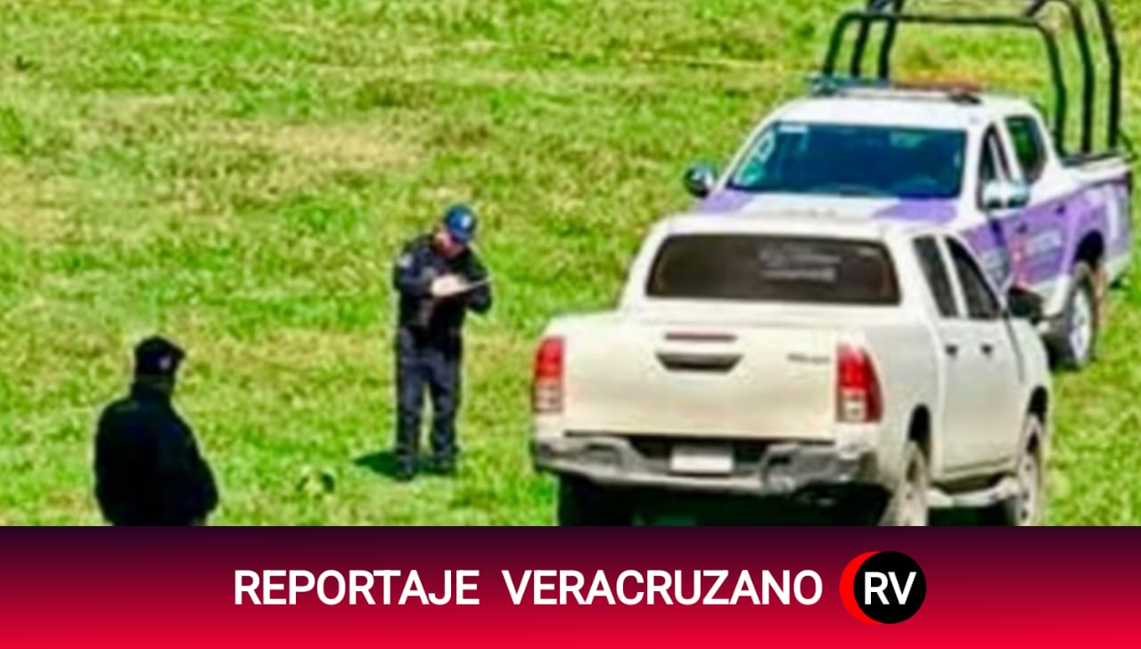 Hallazgo Macabro en Papantla: Localizan Restos Humanos en Finca Remota