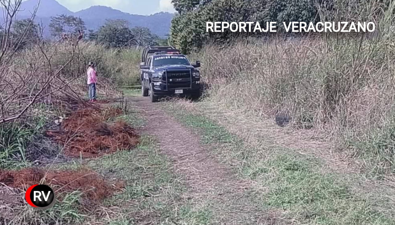 Córdoba: Hallan cadáver con huellas de tortura en cañales de Palo Alto