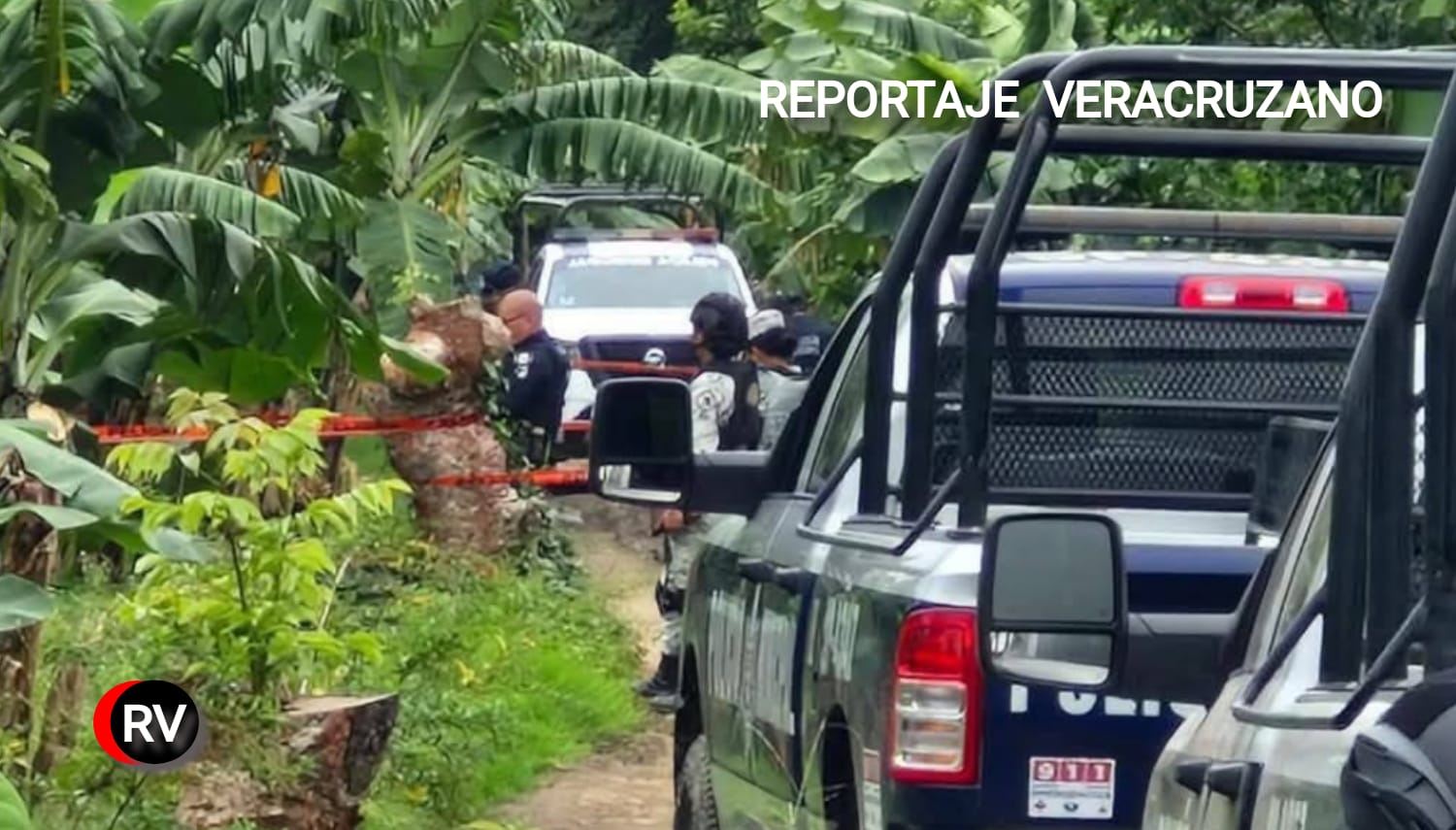 San Rafael, Veracruz: Encuentran dos cuerpos degollados