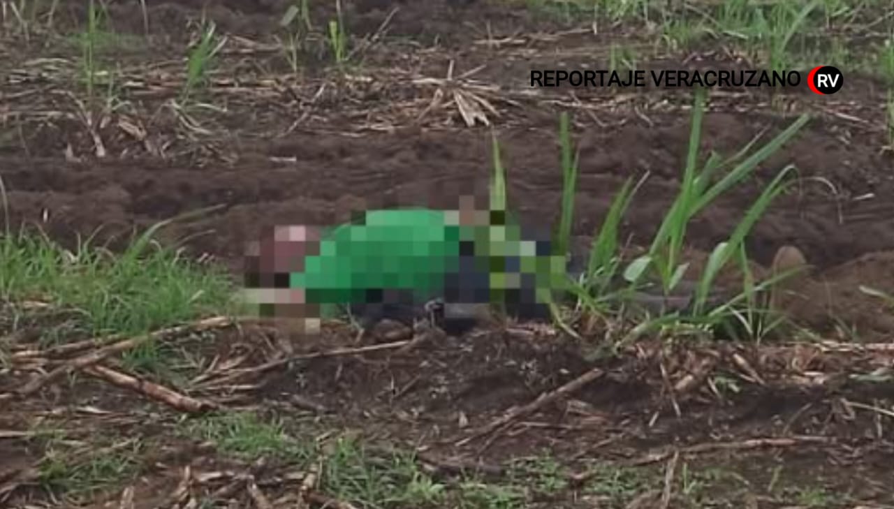 Ángel R. Cabada: Identifican a hombre asesinado con brutalidad en cañales