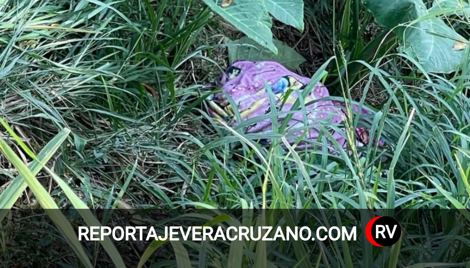 Horror en Hueyapan: hallan restos humanos abandonados cerca de un río