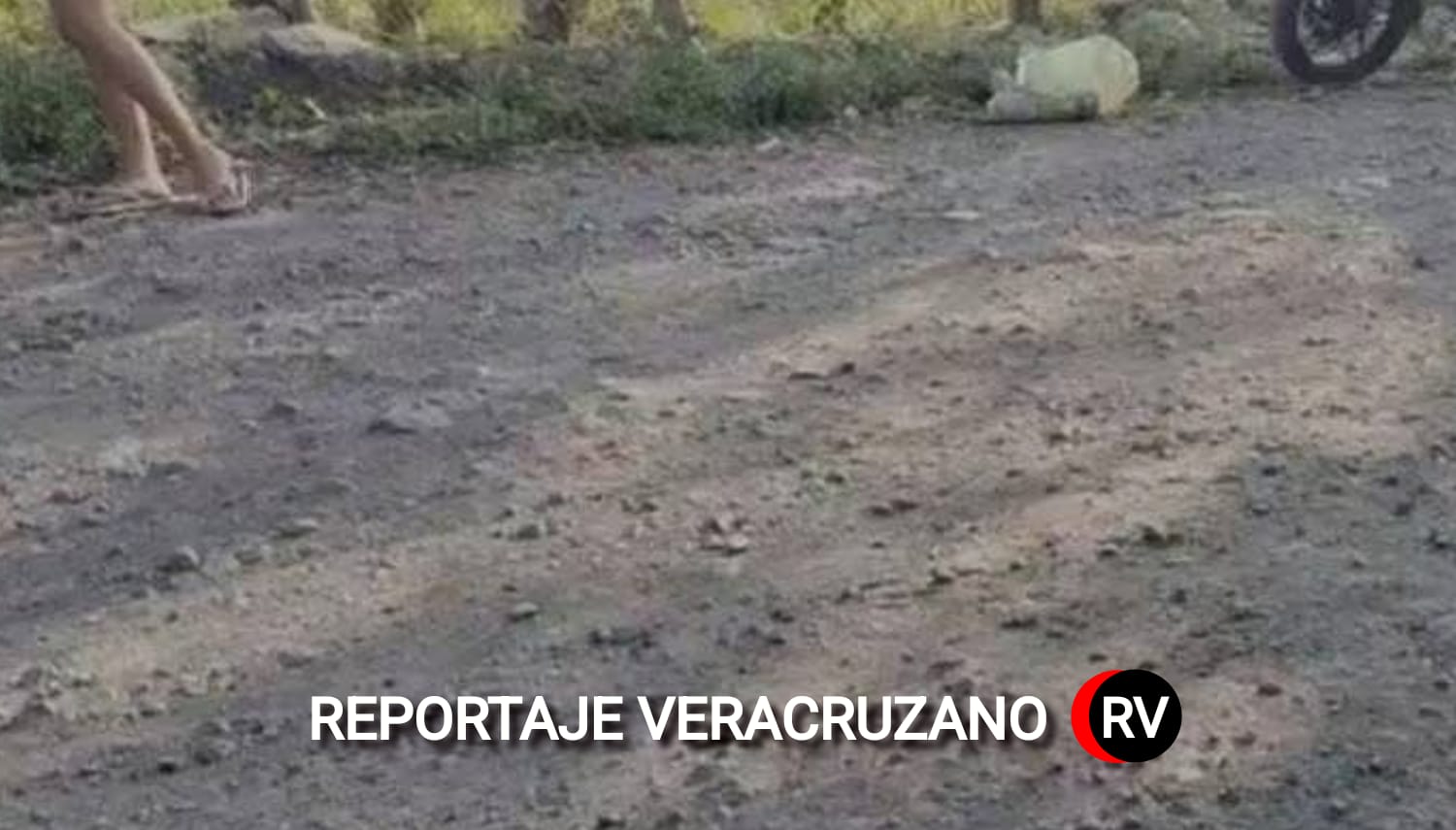 Infancia en riesgo: hallan a niño abandonado y desnutrido en Paso del Macho