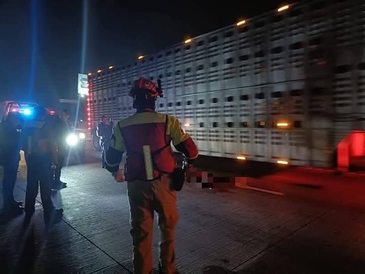 Fatal tragedia en la autopista: hombre muere arrollado por varios vehículos