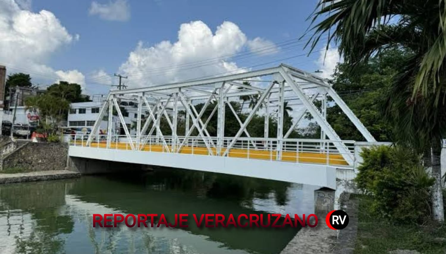 Estero Tenechaco: El ocaso de un ecosistema bajo la indiferencia gubernamental de Túxpan