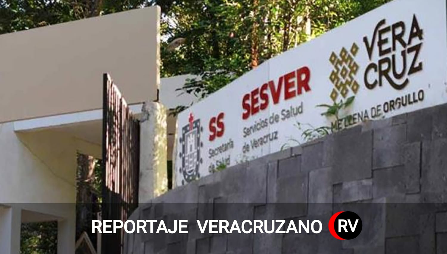El gran saqueo de SESVER: La danza de los millones y el contubernio de la impunidad