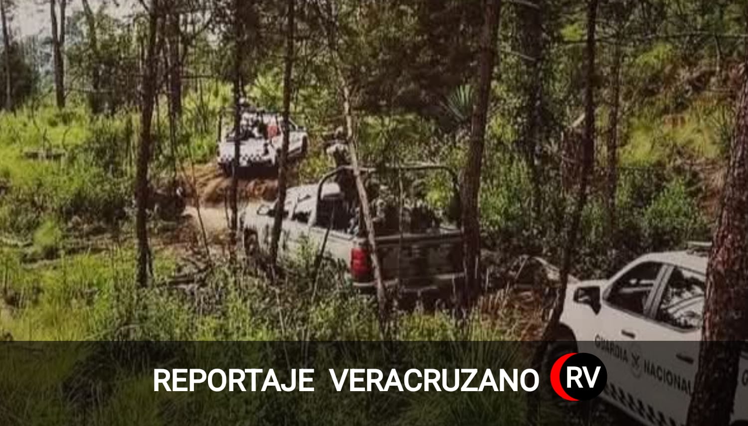 Operativo en la Sierra de Otontepec: Guardia Nacional y Ejército buscan a banda de cuatreros