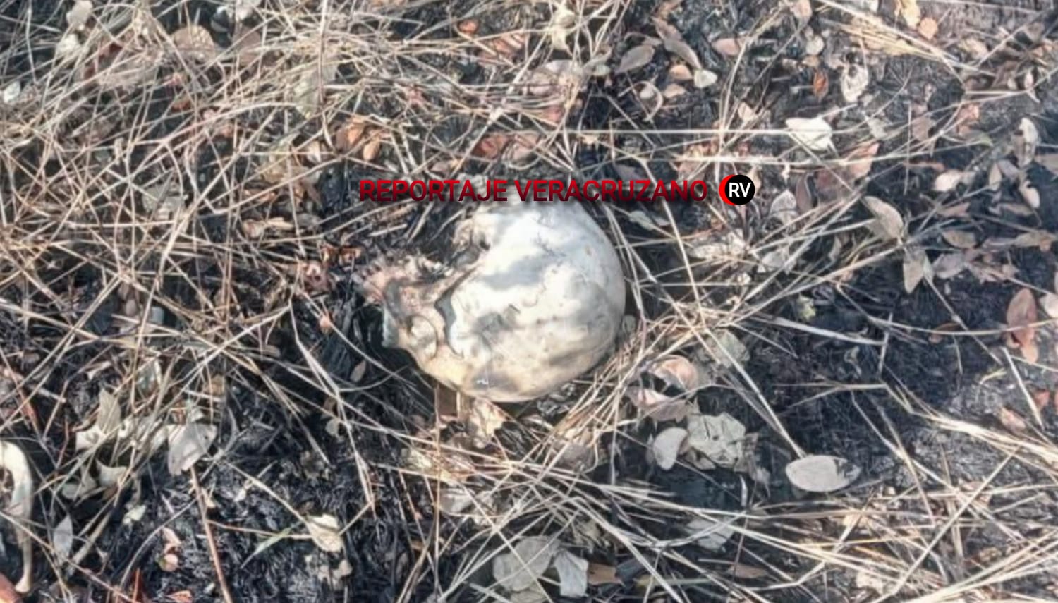 Hallazgo de restos óseos en Hueyapan de Ocampo desata operativo forense