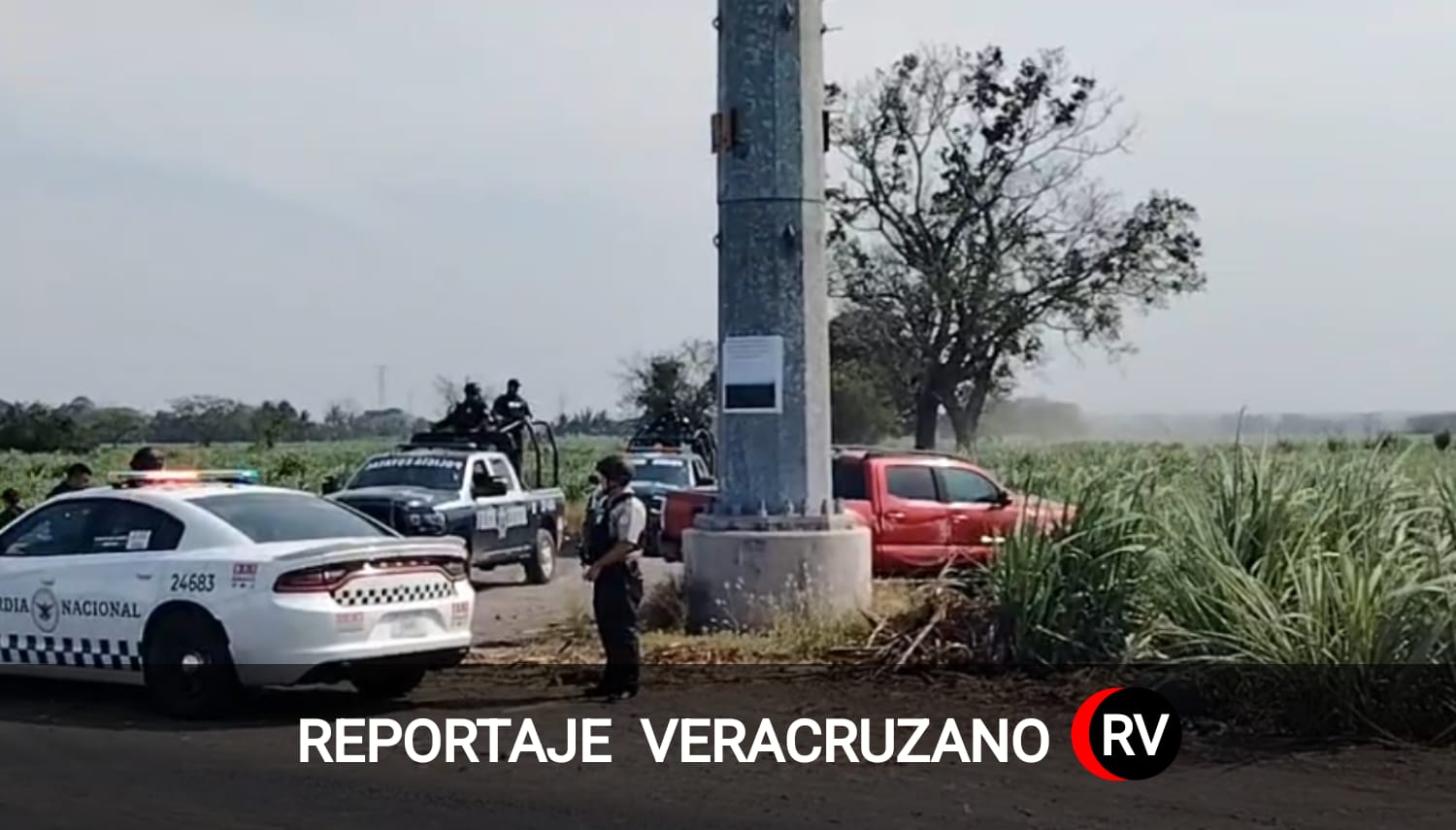 Violencia en Cardel: balacera y presunto secuestro desatan operativo en Úrsulo Galván