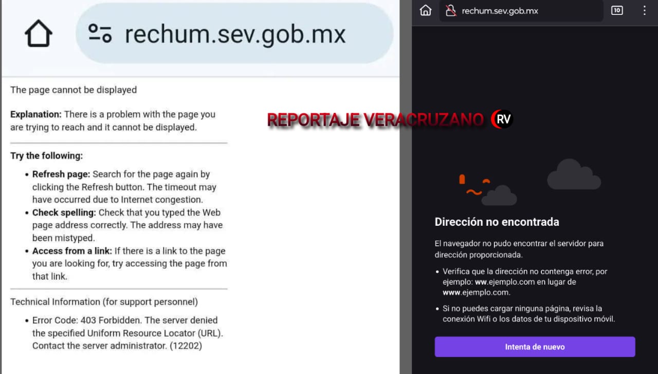 Ciberataques paralizan agencias del gobierno de Veracruz, exponiendo vulnerabilidades sistémicas