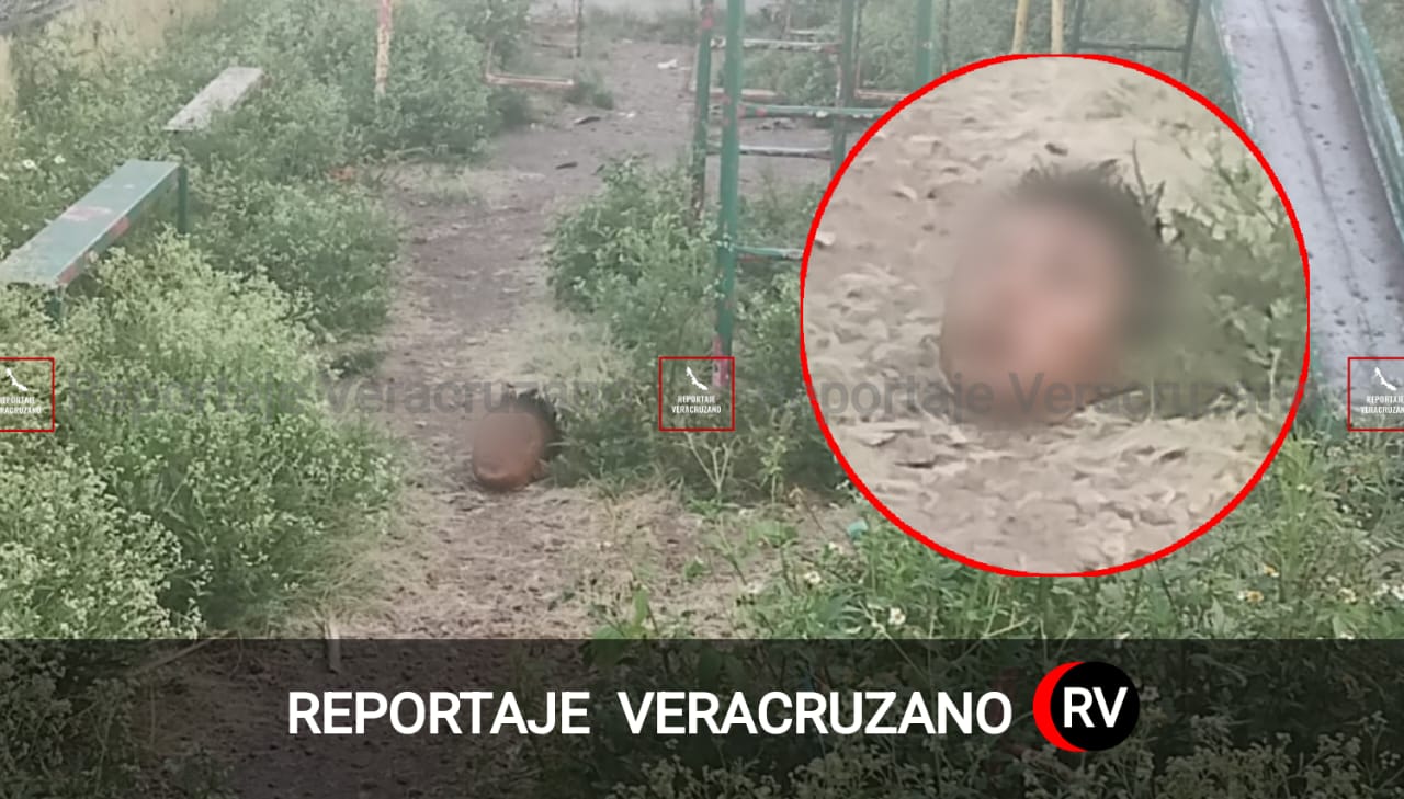 Hallan cabeza humana en canchas deportivas de Huatusco