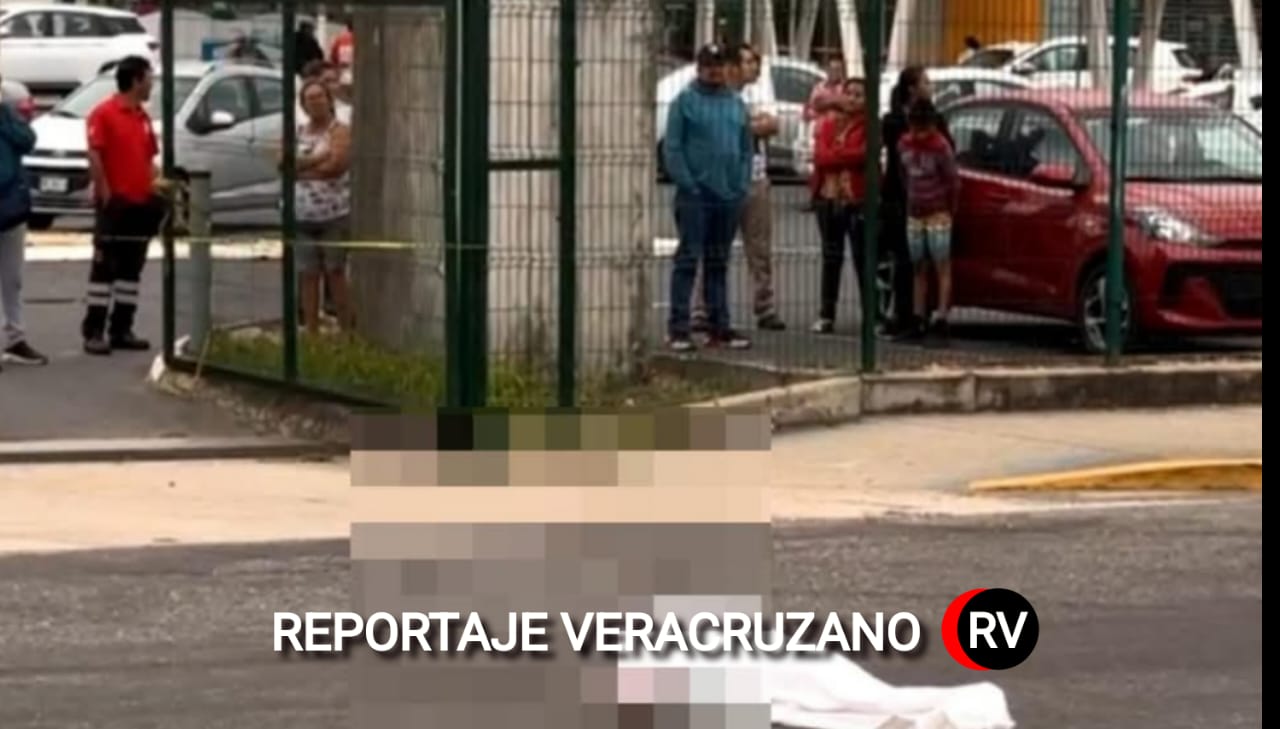 Tragedia en Coatzacoalcos: Mujer de la tercera edad fallece tras ser atropellada en Avenida Universidad