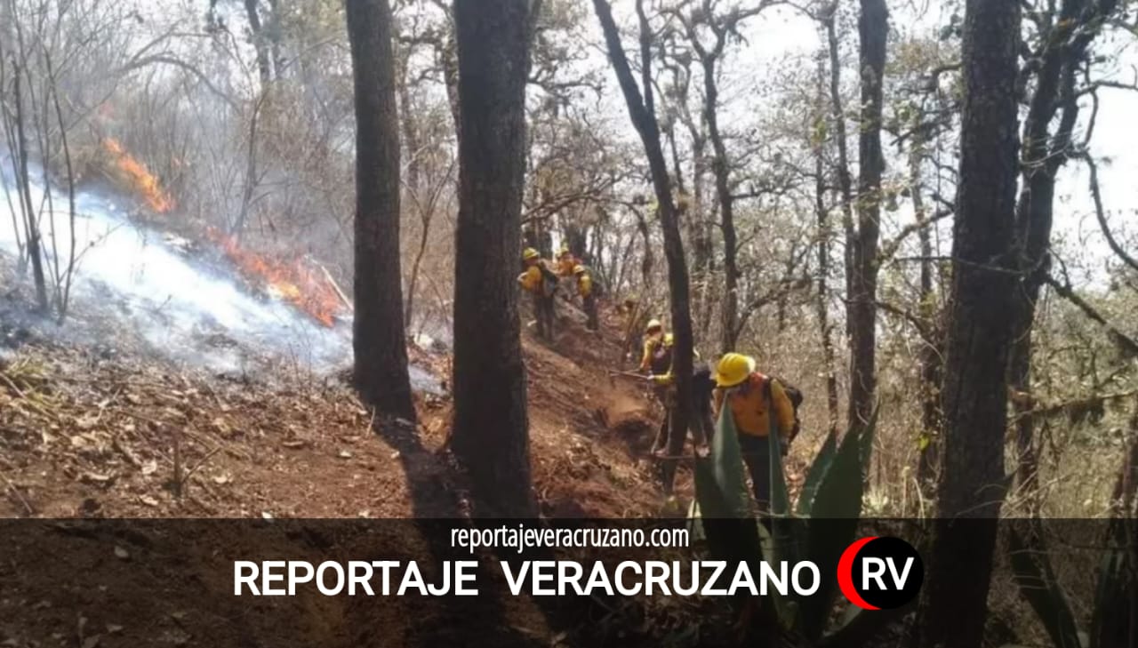 Tequila se prepara para enfrentar el fuego: estrategia anticipada ante la temporada de incendios