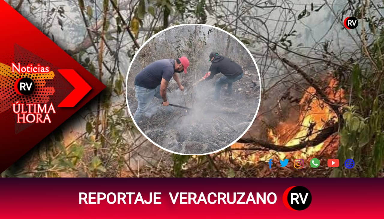 LLAMAS QUE SOSPECHAN: INCENDIO EN NOGALES REAVIVA TEMORES SOBRE ECOCIDIO INTENCIONAL