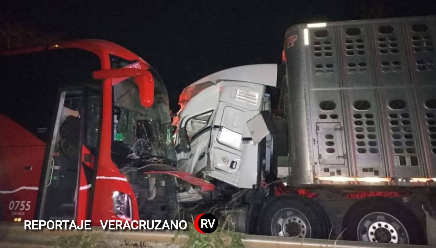 Tragedia sobre el asfalto: Muere conductor de ADO en brutal choque; ruta Loma Bonita-Tuxtepec marcada por la tragedia