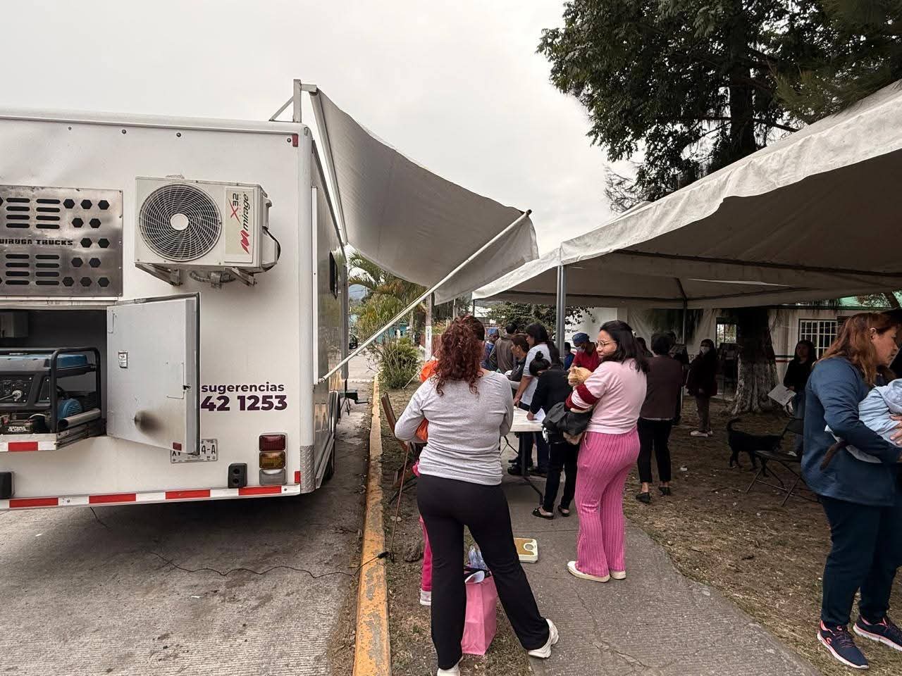 Xalapa apuesta por el bienestar animal y reactiva el quirófano móvil de esterilización