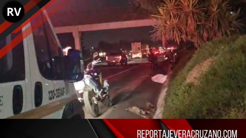 Localizan cuerpo a orilla de la autopista Orizaba-Córdoba; fuerte movilización en la zona