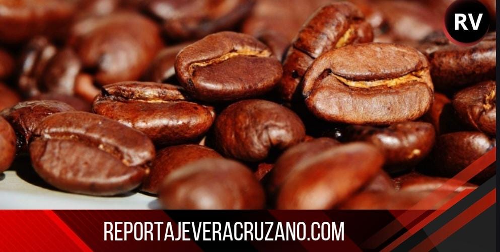 Cafeticultores veracruzanos alertan por desplome en precios y piden regular importaciones