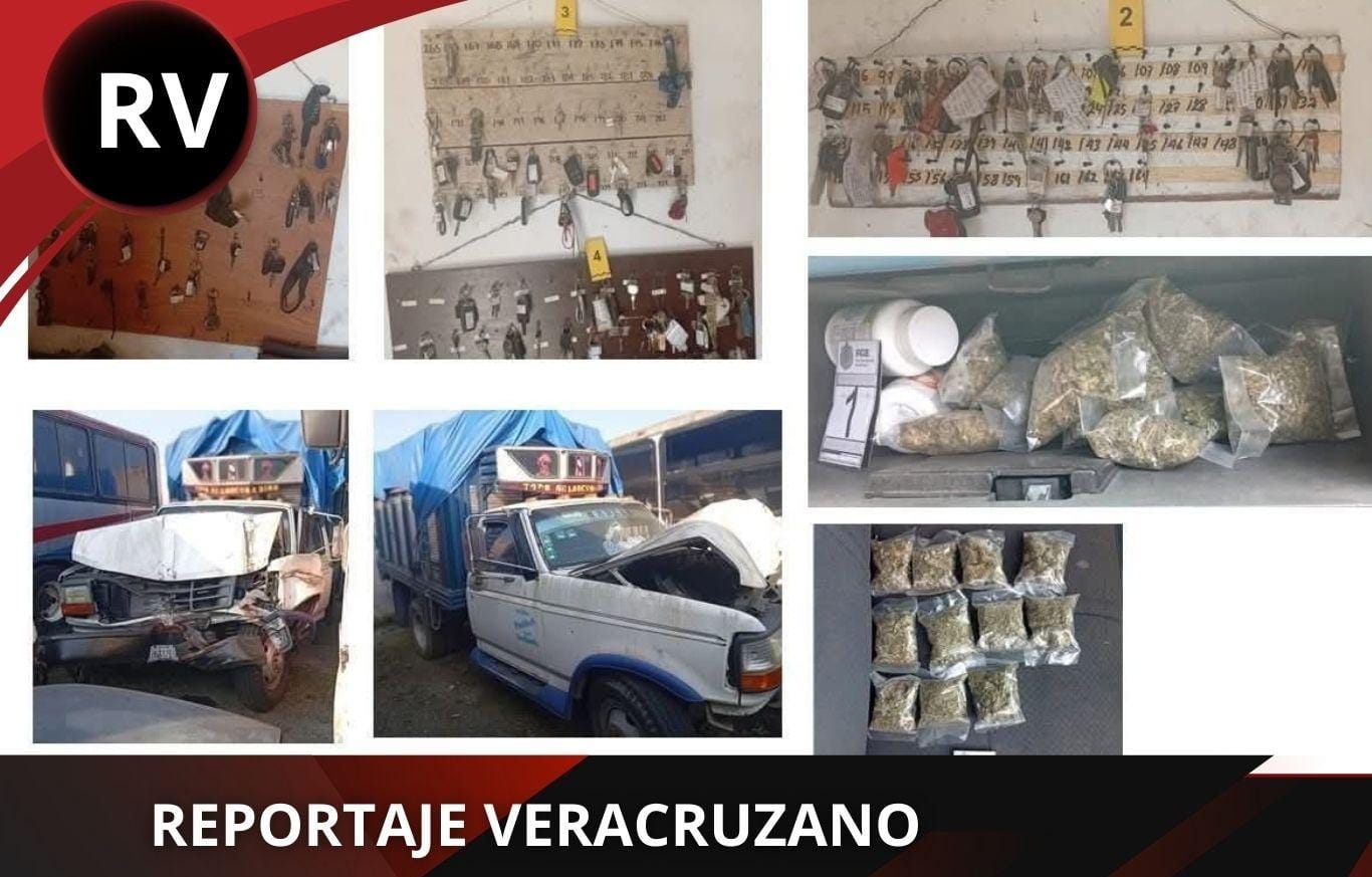 Cateo en corralón de Ixtaczoquitlán deja asegurados 327 vehículos