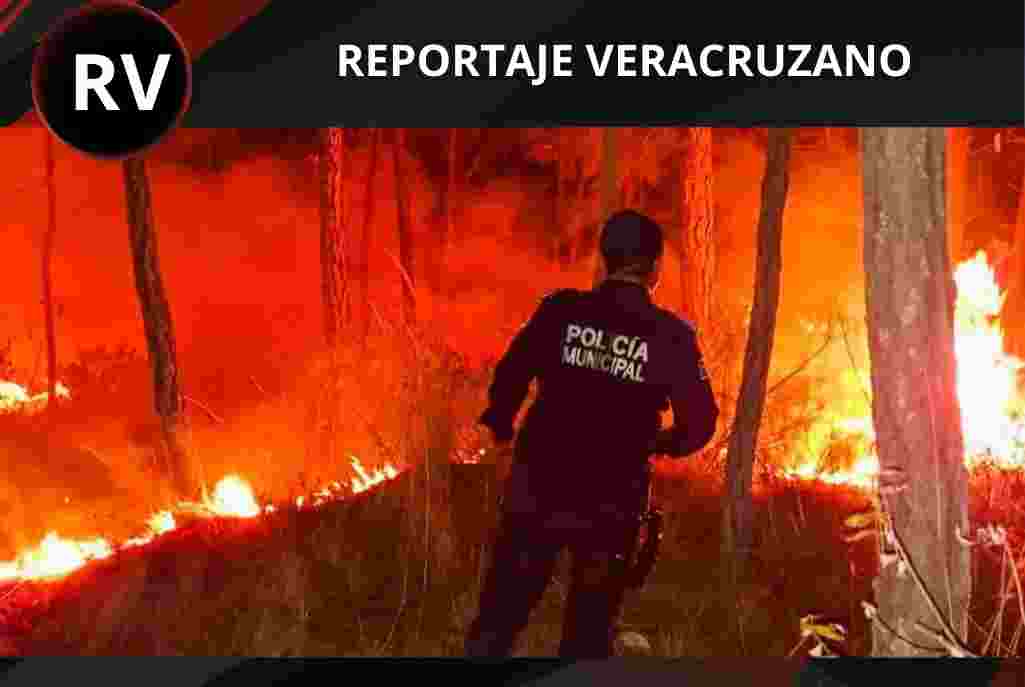 Fuego en el Cofre: Incendios forestales consumen 10 hectáreas de bosque en Perote