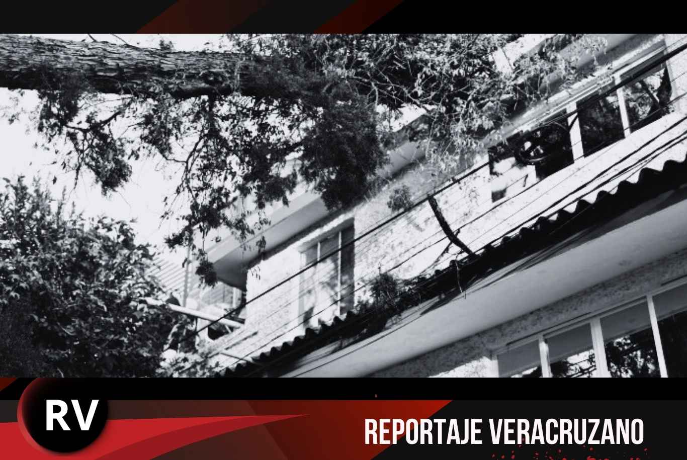 Reportan daños en 33 colonias de Xalapa tras paso del Frente Frío 37