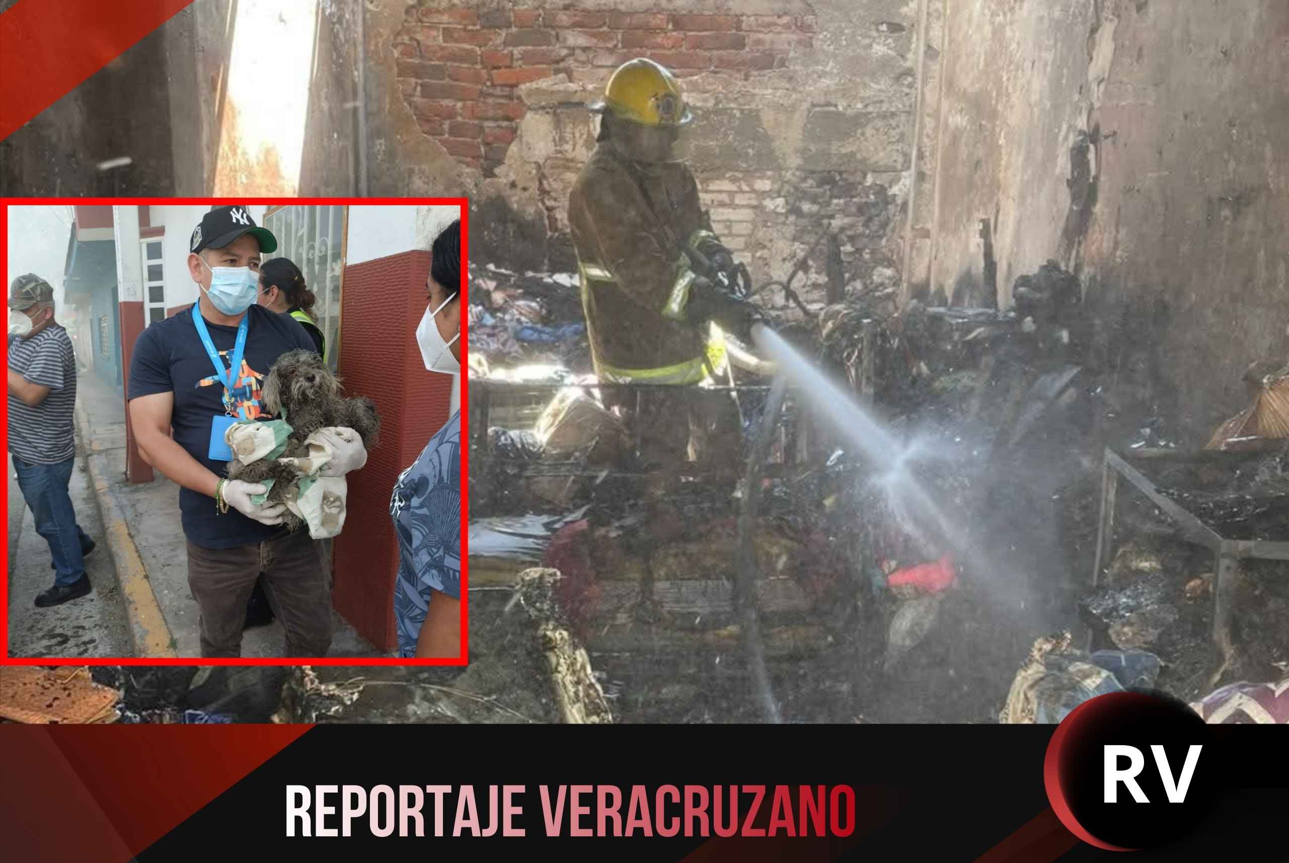 Heroico rescate de mascotas tras incendio en vivienda de Río Blanco