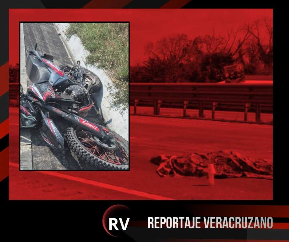 Fallece motociclista arrollado en la autopista Córdoba-Veracruz; el responsable escapó