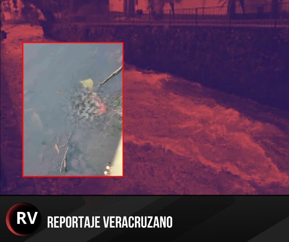 Hallazgo en el río Orizaba: el abandono que estremece a la ciudad