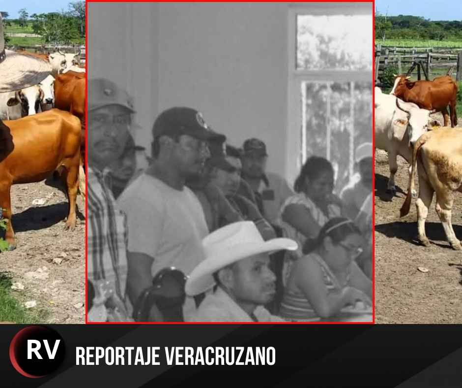 Crisis en el campo: La delincuencia asfixia a ganaderos de Jesús Carranza con robos masivos