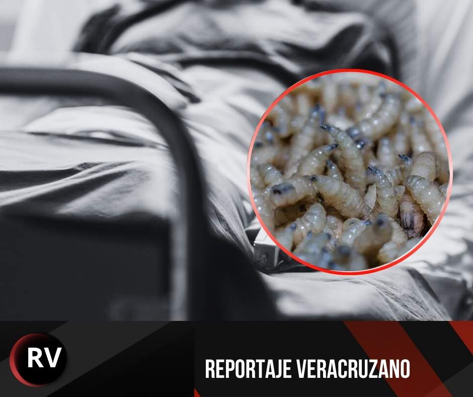 Confirman dos casos humanos de gusano barrenador en el estado de Veracruz