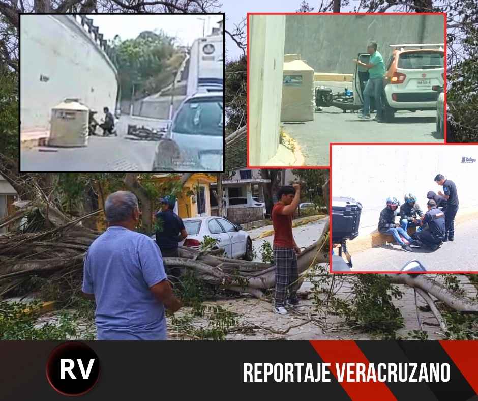 Fuerte «Norte» provoca caída de objetos y accidentes en la capital del estado