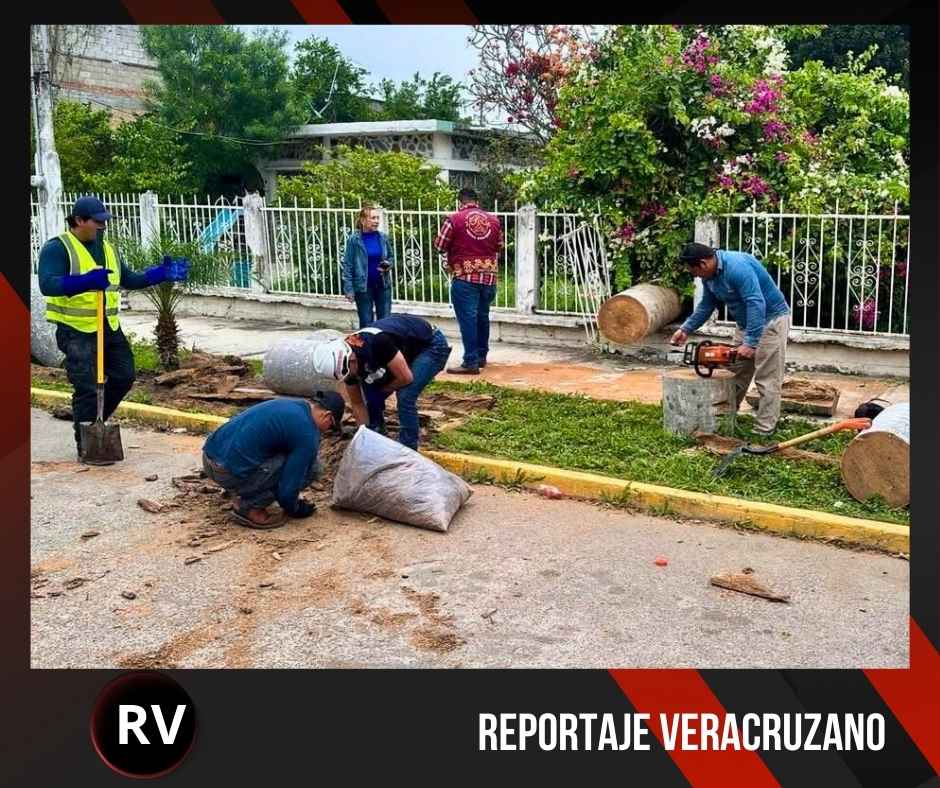 Gobierno de Poza Rica atiende afectaciones por vientos del Frente Frío 41