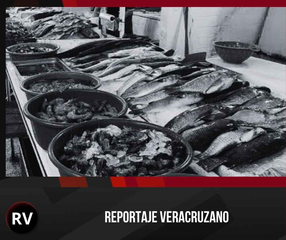 Pescado con «sabor» a crudo: El riesgo invisible que llega a las mesas de Veracruz