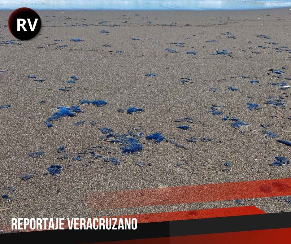 Emiten alerta preventiva en Nautla por derrame de hidrocarburo en el Golfo de México