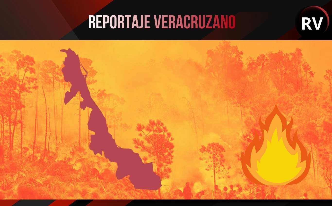 Veracruz bajo fuego: Suman 79 hectáreas afectadas por incendios forestales en lo que va de 2026