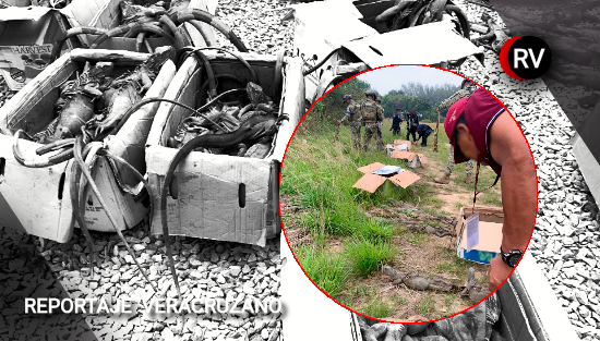 Rescate en carretera exhibe red silenciosa de tráfico de fauna en el sur del país