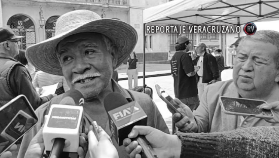 Cafetales en crisis: roya arrasa miles de hectáreas y productores acusan cerco político en apoyos