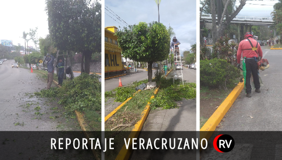 Fortín apuesta por la imagen urbana: intervienen bulevar Córdoba–Fortín en jornada de mantenimiento